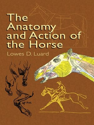 cover image of The Anatomy and Action of the Horse